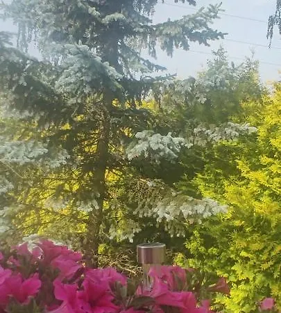Holiday home Ostoja Rodzinna Przy Parku