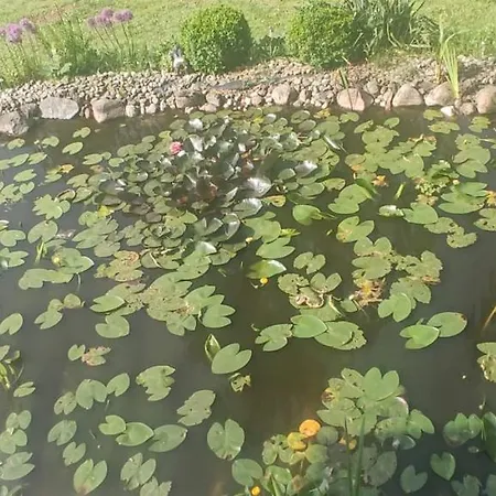 Ostoja Rodzinna Przy Parku *