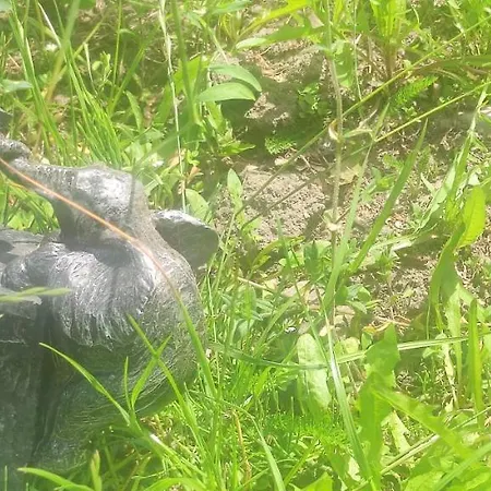Ostoja Rodzinna Przy Parku * Nowa Wies Koscierska