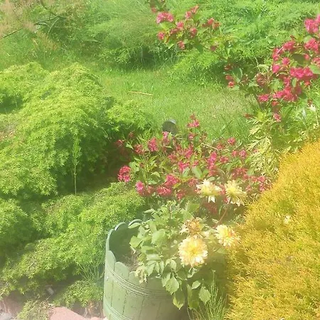 Ostoja Rodzinna Przy Parku Holiday home *